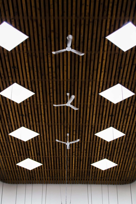 Ceiling Fan Installation