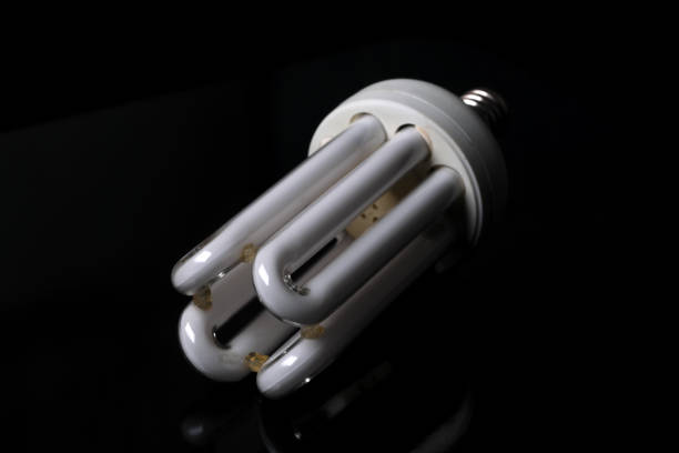 Basement Lighting Installation